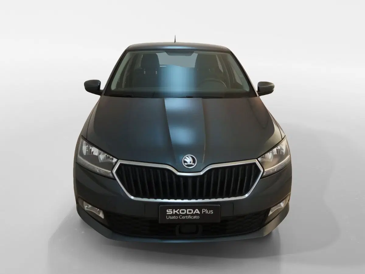 Skoda Fabia usata a Torino (2)