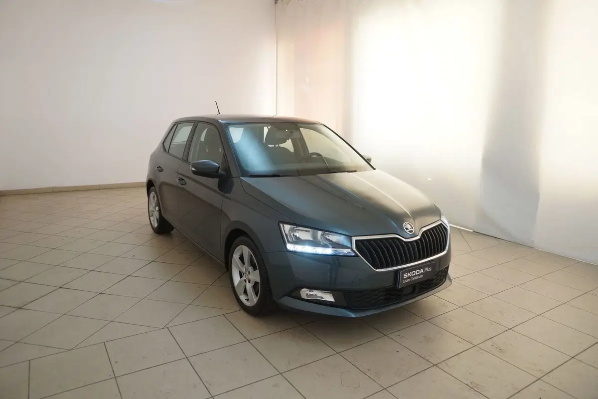 Skoda Fabia usata a Torino (20)