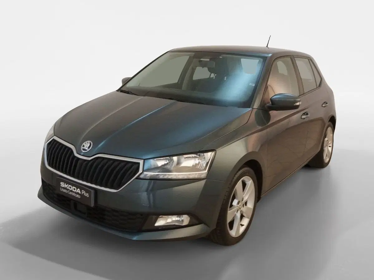 Skoda Fabia usata a Torino (3)