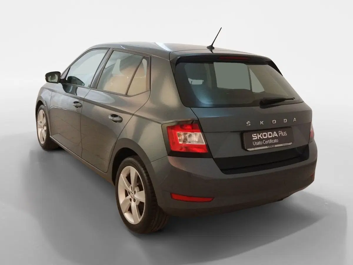 Skoda Fabia usata a Torino (4)