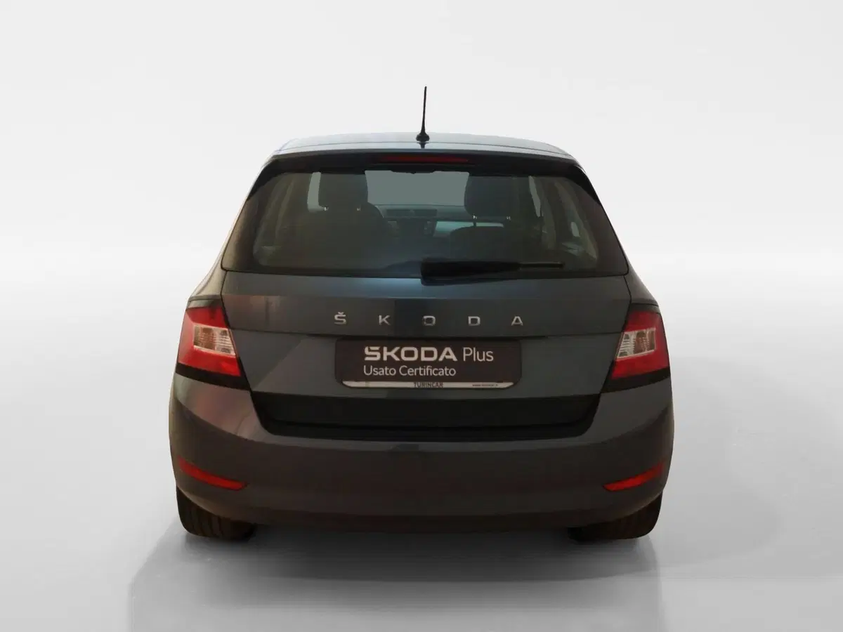 Skoda Fabia usata a Torino (5)