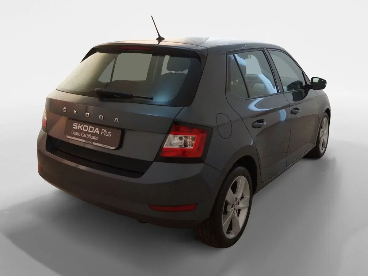 Skoda Fabia usata a Torino (6)