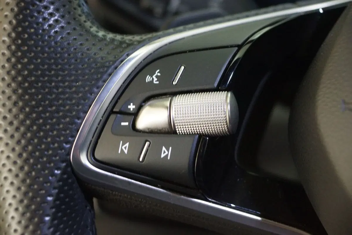 Skoda Kodiaq usata a Torino (15)