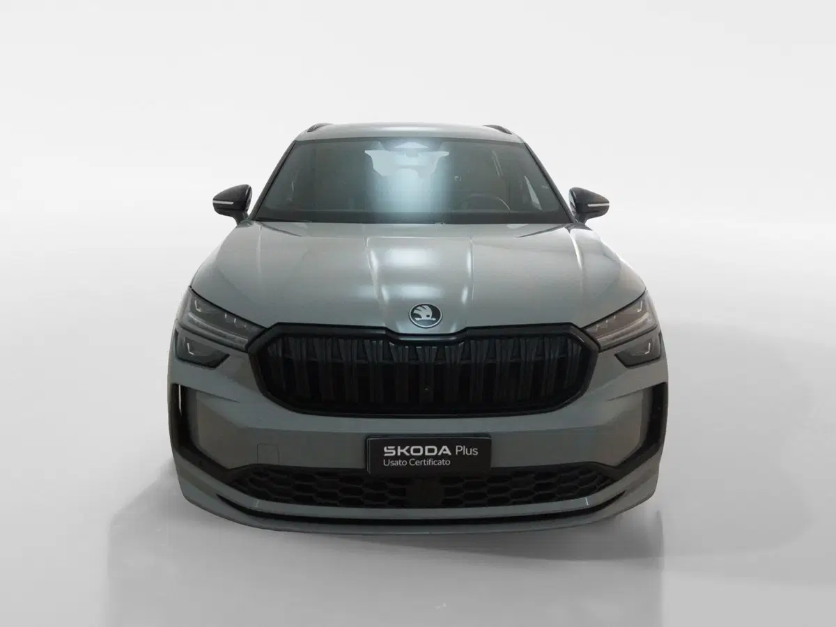 Skoda Kodiaq usata a Torino (2)