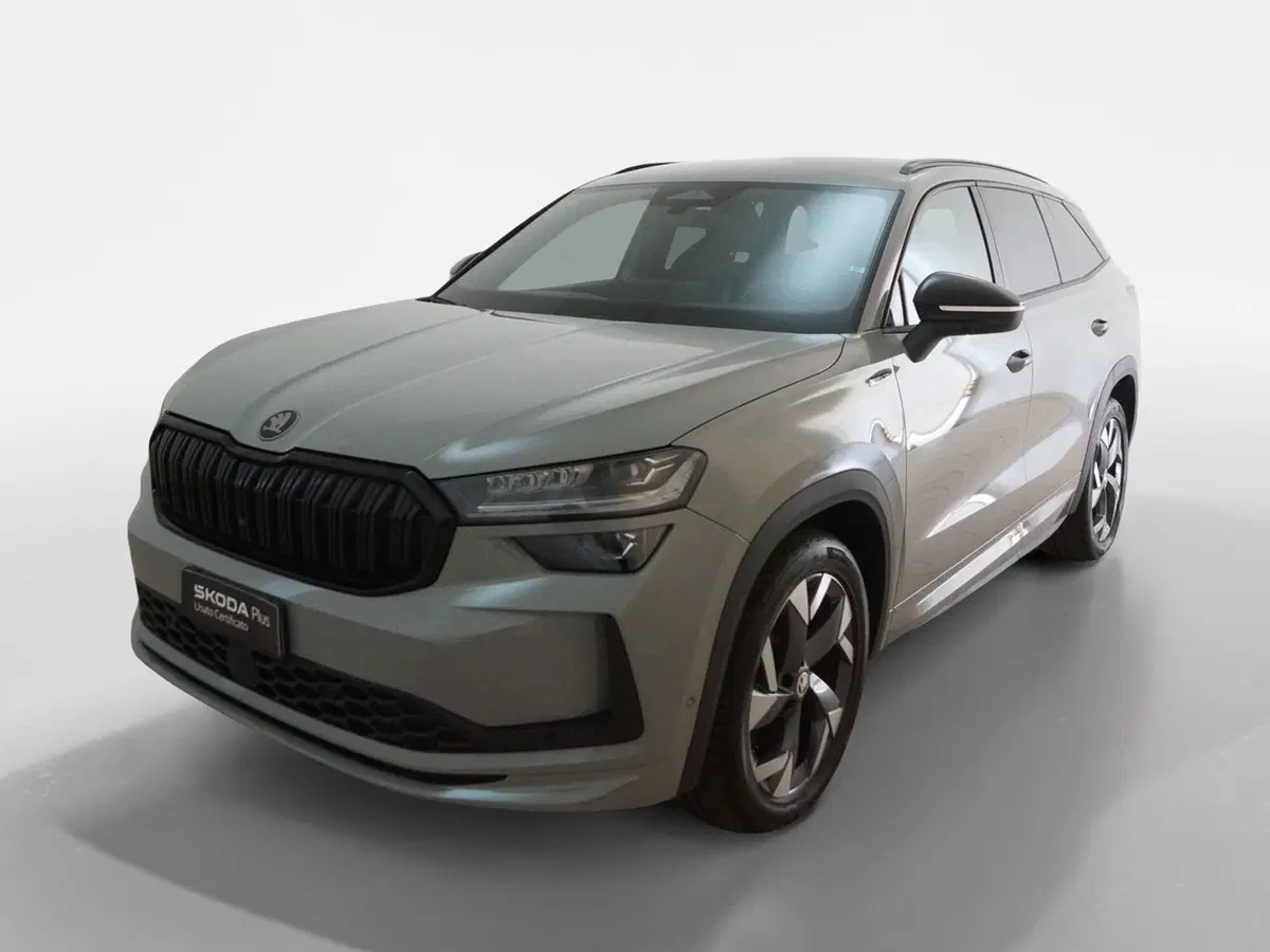 Skoda Kodiaq usata a Torino (3)