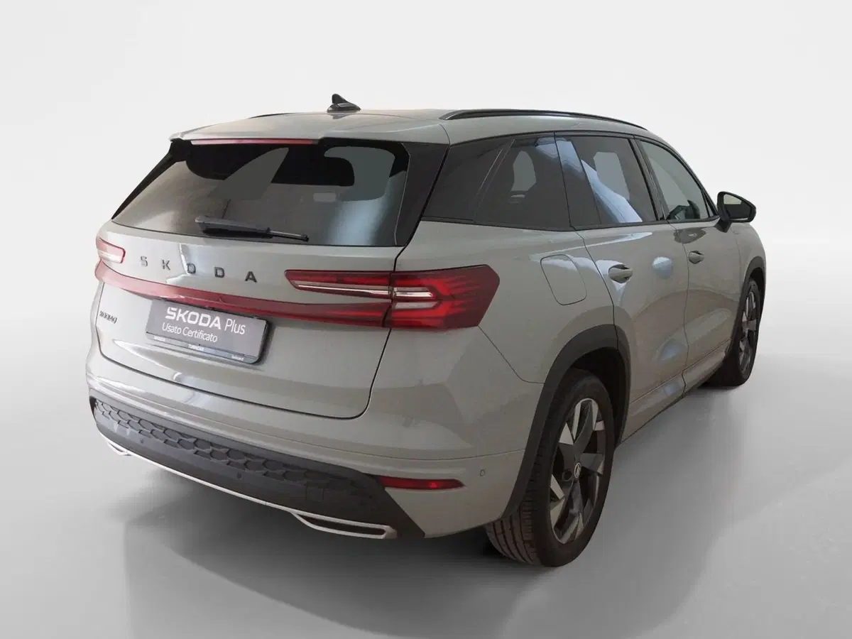 Skoda Kodiaq usata a Torino (6)