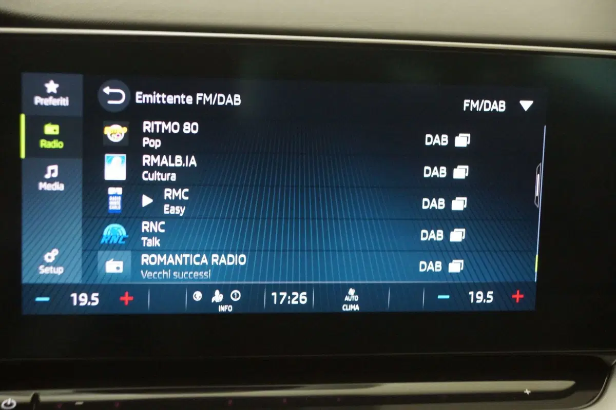 Skoda Octavia Station Wagon usata a Torino (20)