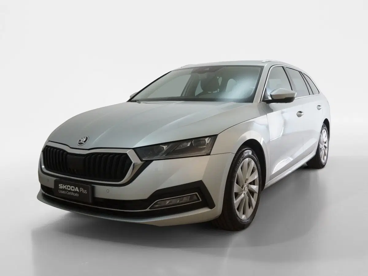 Skoda Octavia Station Wagon usata a Torino (3)