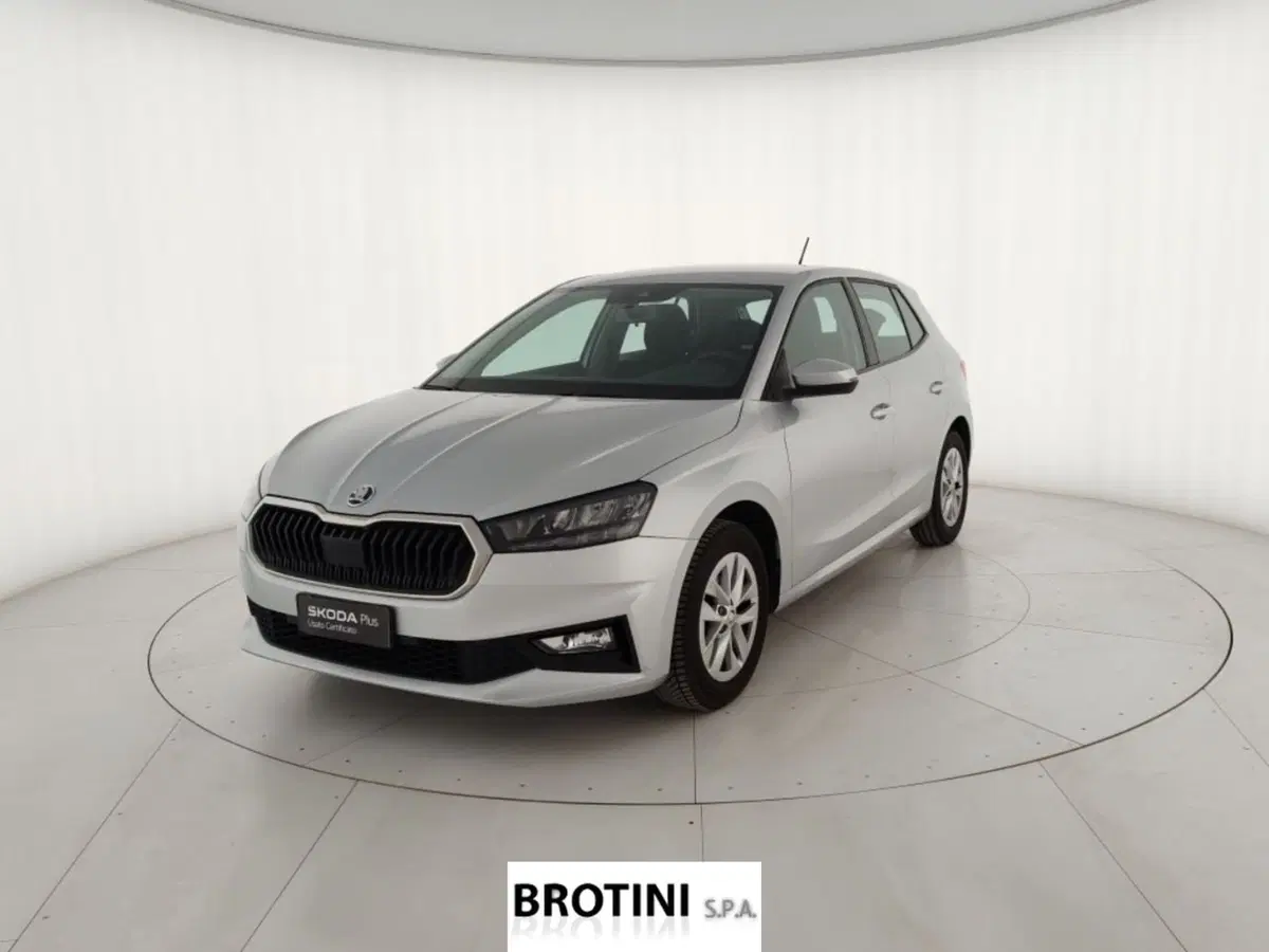 Skoda Fabia usata a Massa-Carrara