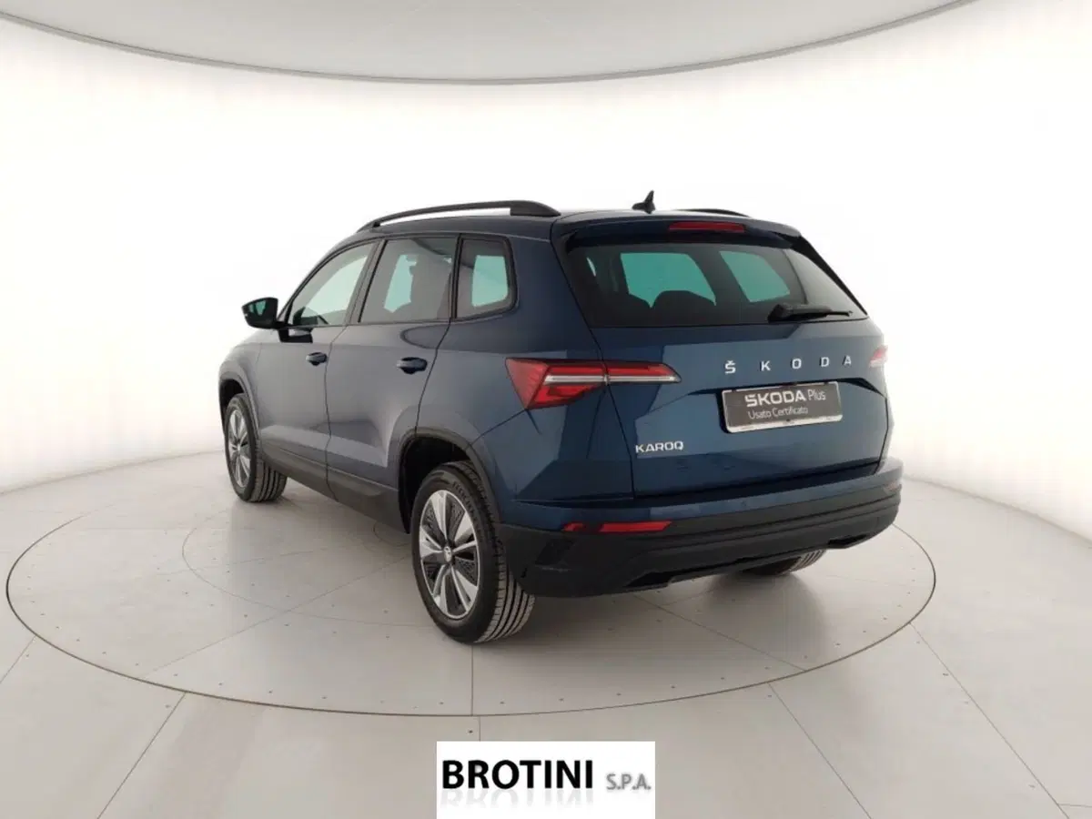 Skoda Kamiq usata a Massa-Carrara (2)