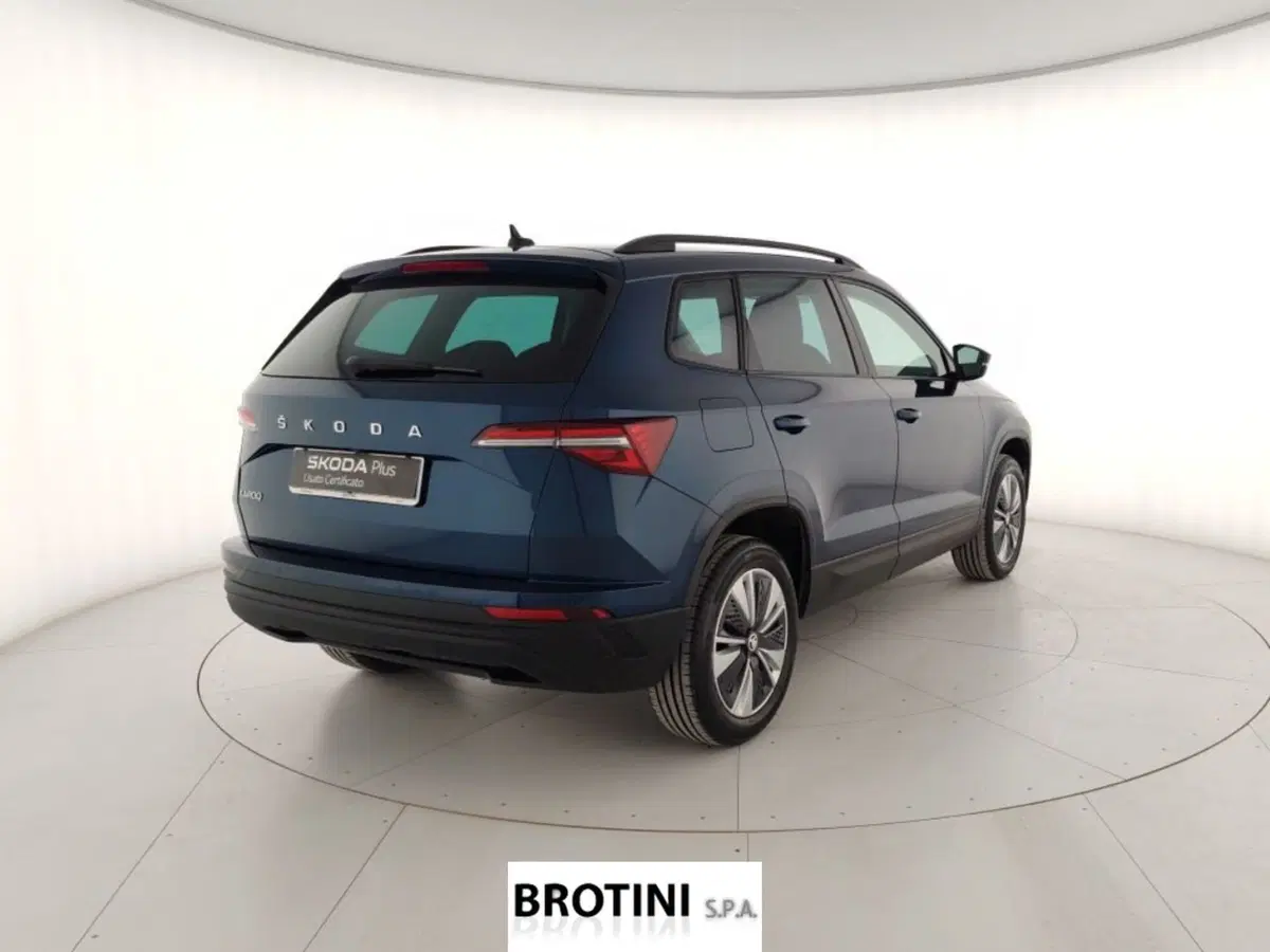 Skoda Kamiq usata a Massa-Carrara (3)