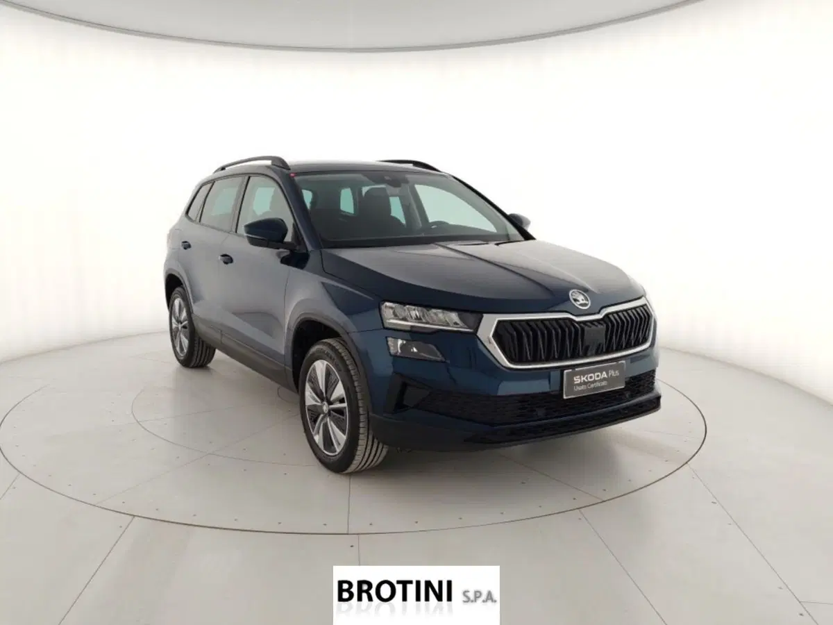 Skoda Kamiq usata a Massa-Carrara (4)