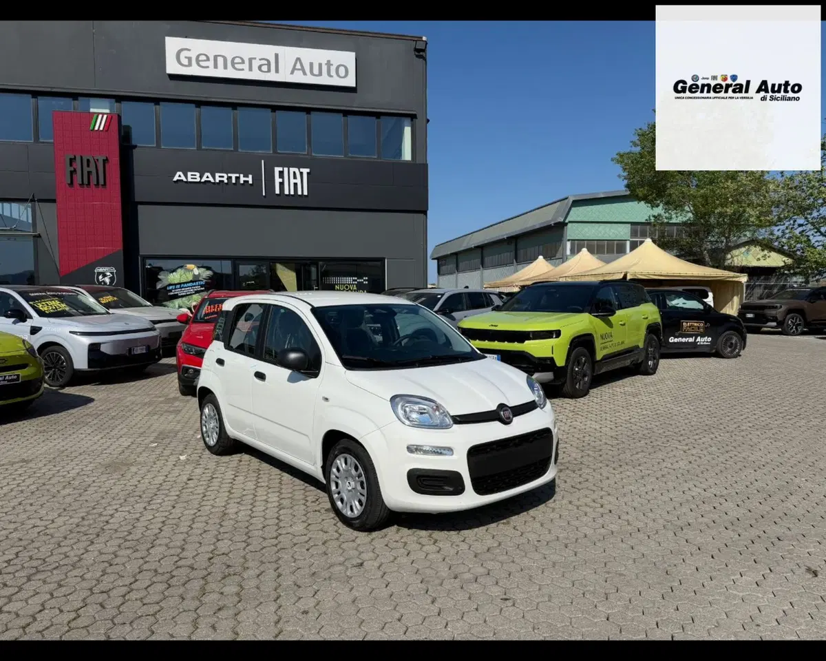 Fiat Pandina nuova a Lucca
