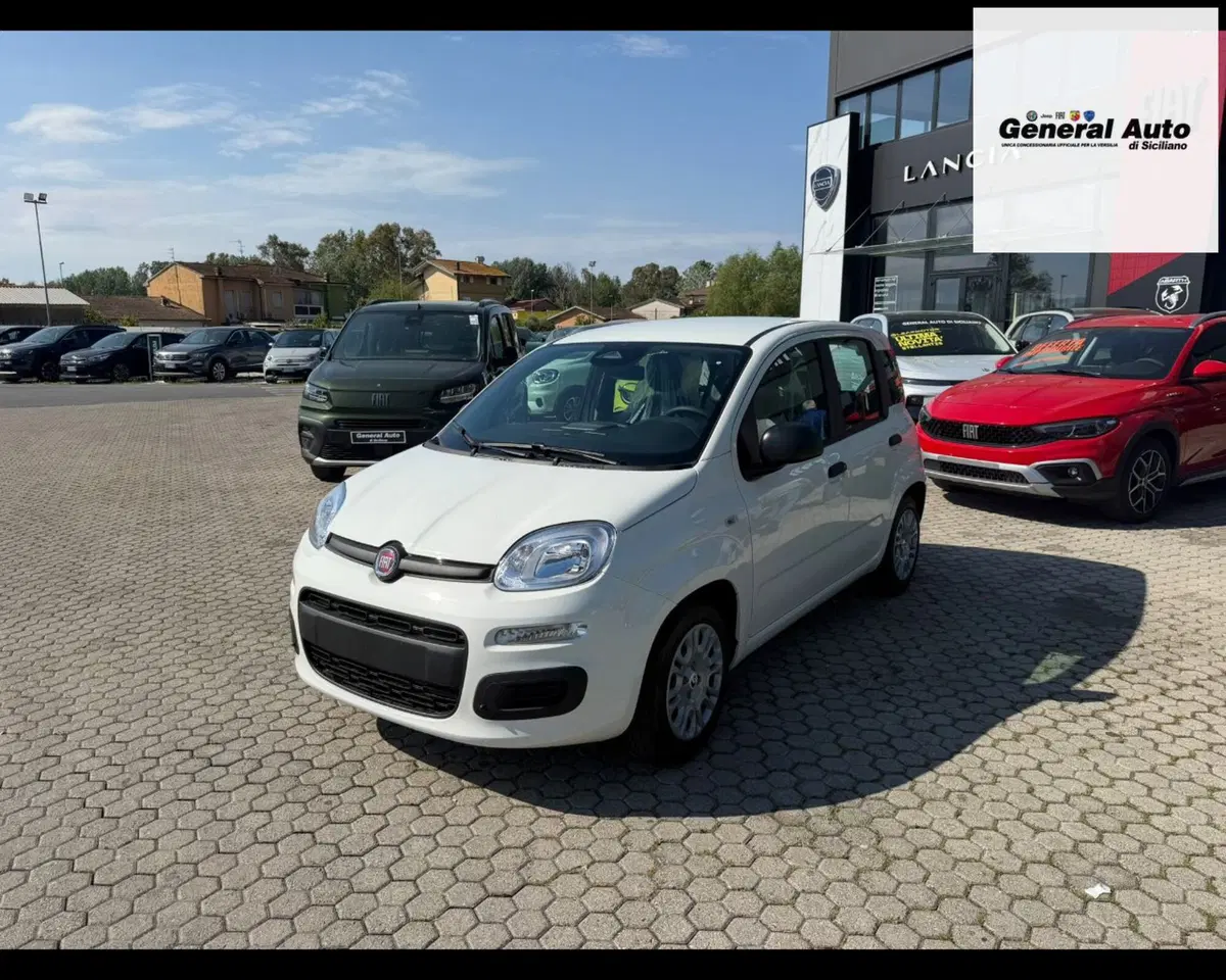 Fiat Pandina nuova a Lucca (3)