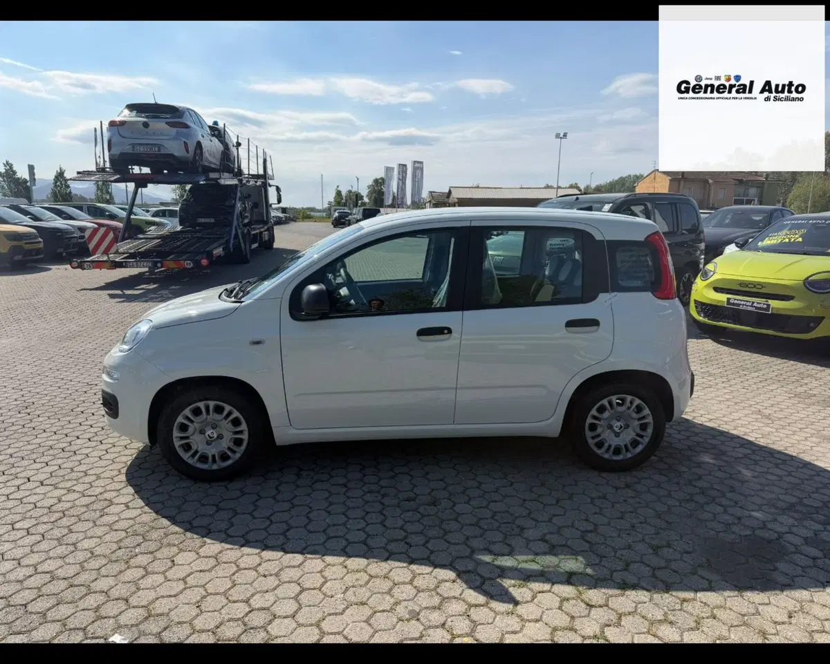 Fiat Pandina nuova a Lucca (4)