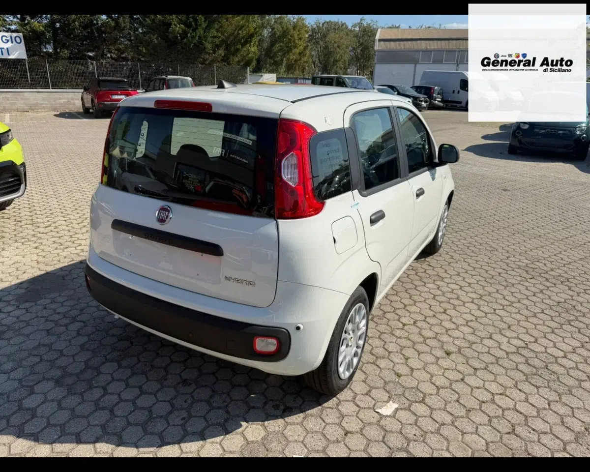 Fiat Pandina nuova a Lucca (7)
