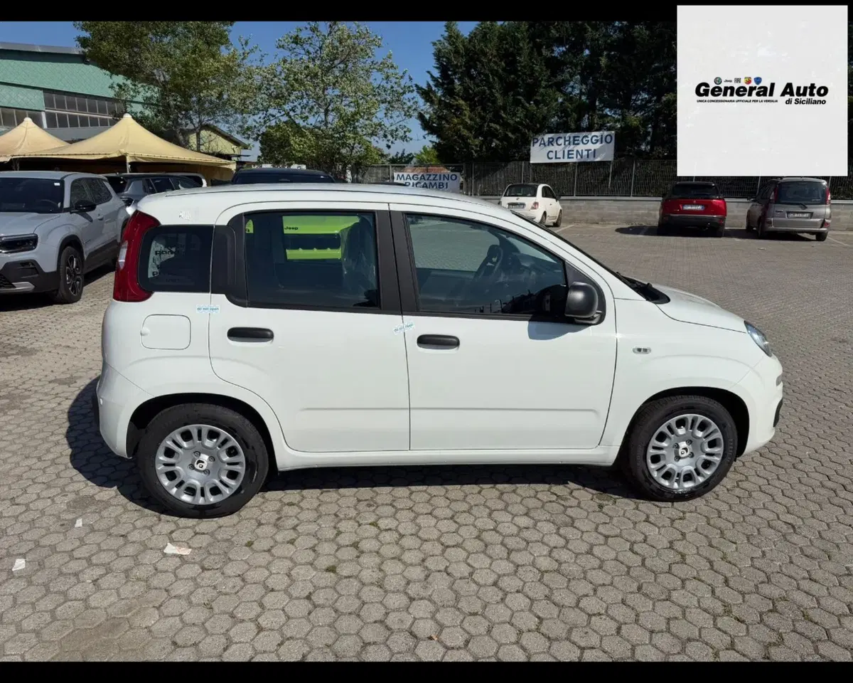 Fiat Pandina nuova a Lucca (8)