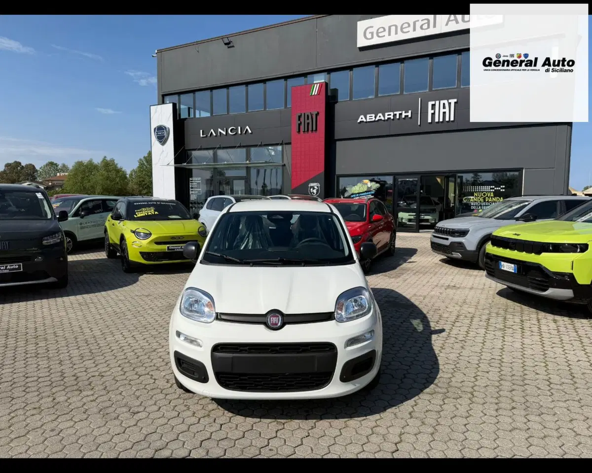 Fiat Pandina nuova a Lucca (2)