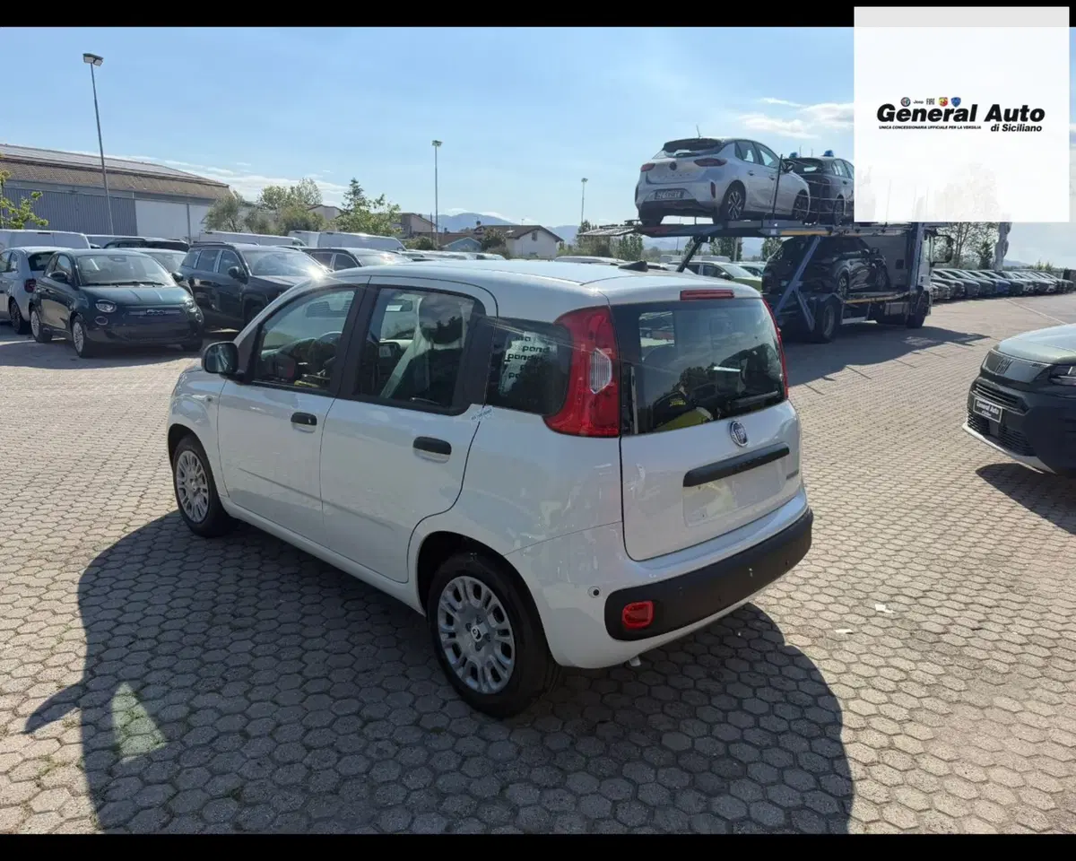 Fiat Pandina nuova a Lucca (5)