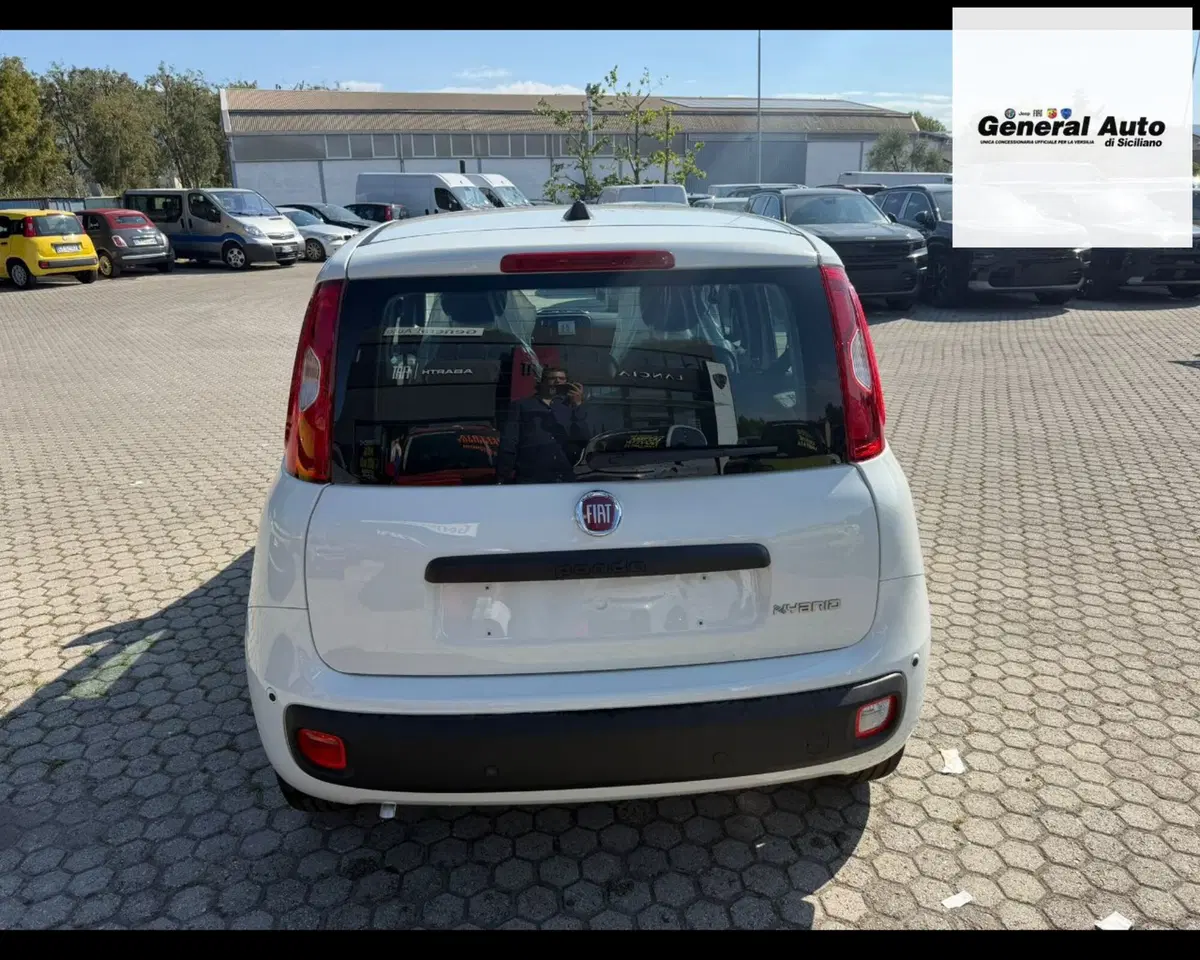 Fiat Pandina nuova a Lucca (6)