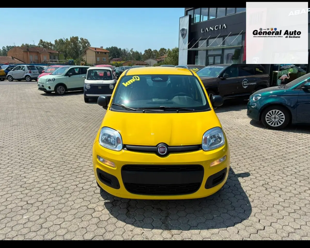Fiat Pandina nuova a Lucca (2)