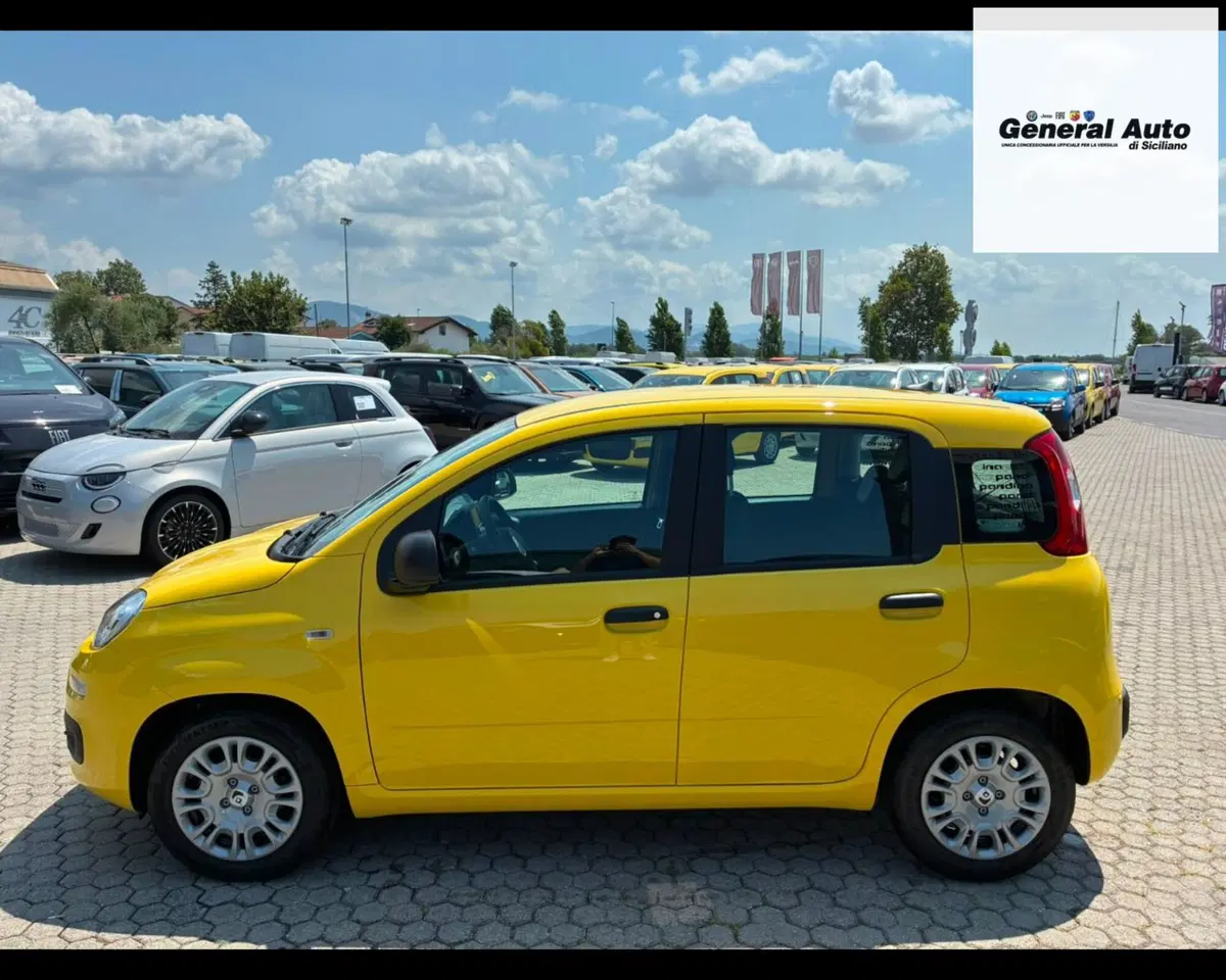 Fiat Pandina nuova a Lucca (4)
