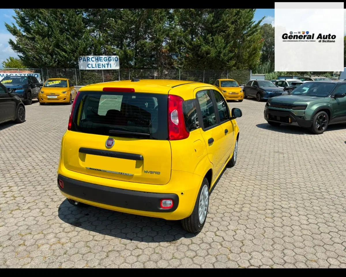 Fiat Pandina nuova a Lucca (7)