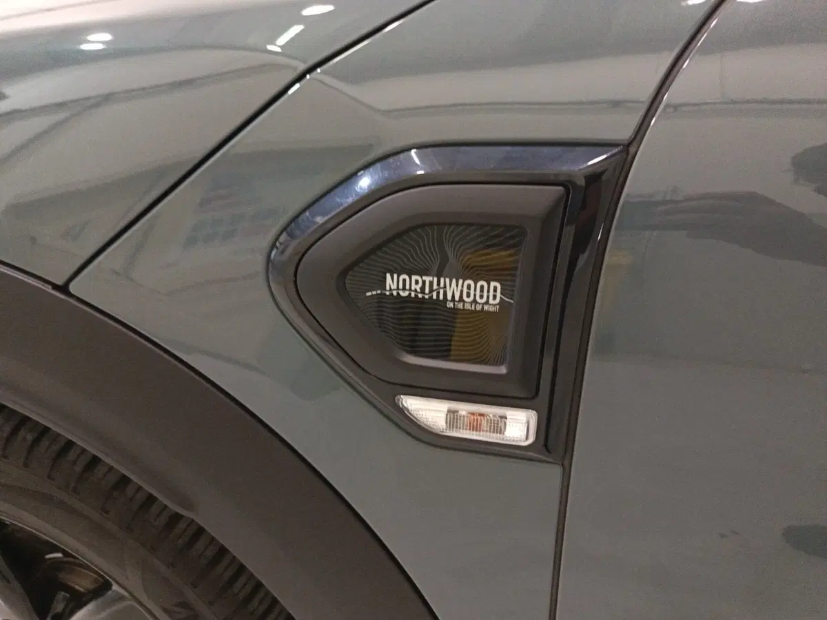 MINI Mini Countryman usata a Caserta (15)