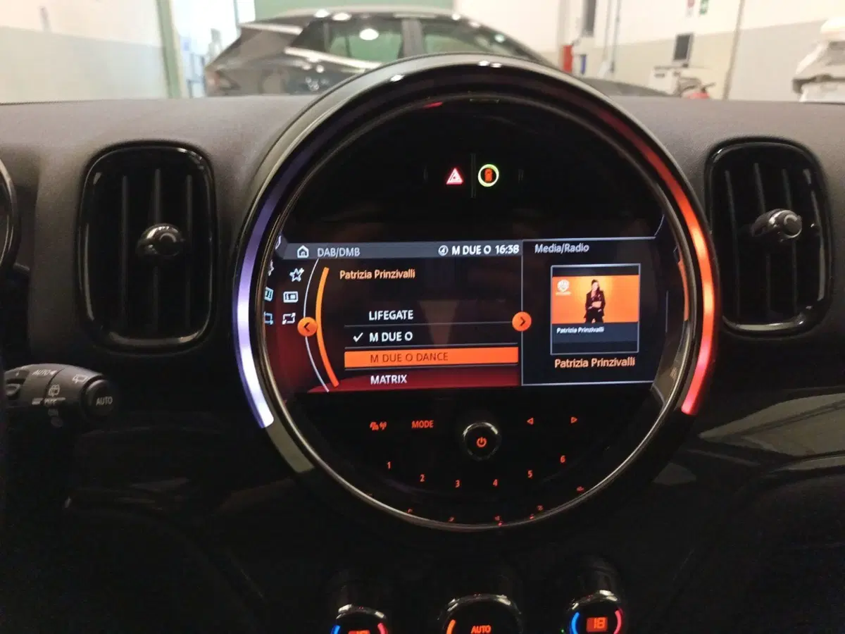 MINI Mini Countryman usata a Caserta (2)
