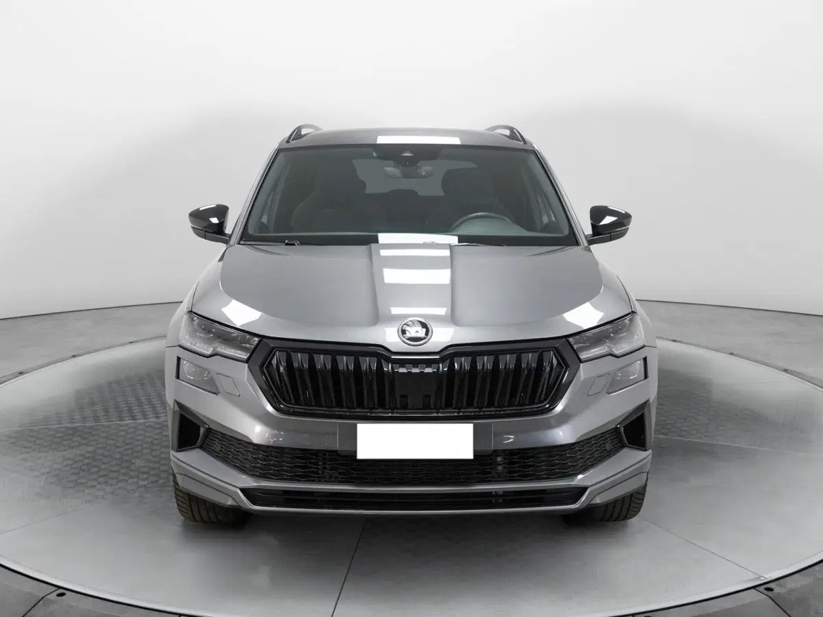 Skoda Karoq usata a Varese (2)
