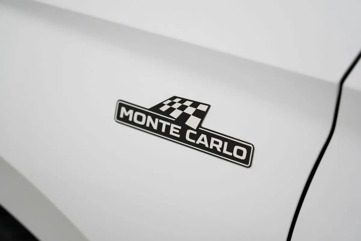 Skoda Fabia usata a Varese (19)