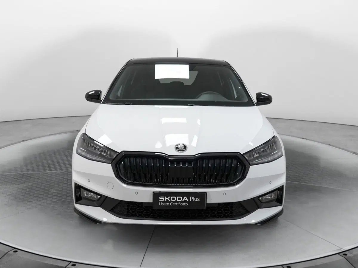Skoda Fabia usata a Varese (2)