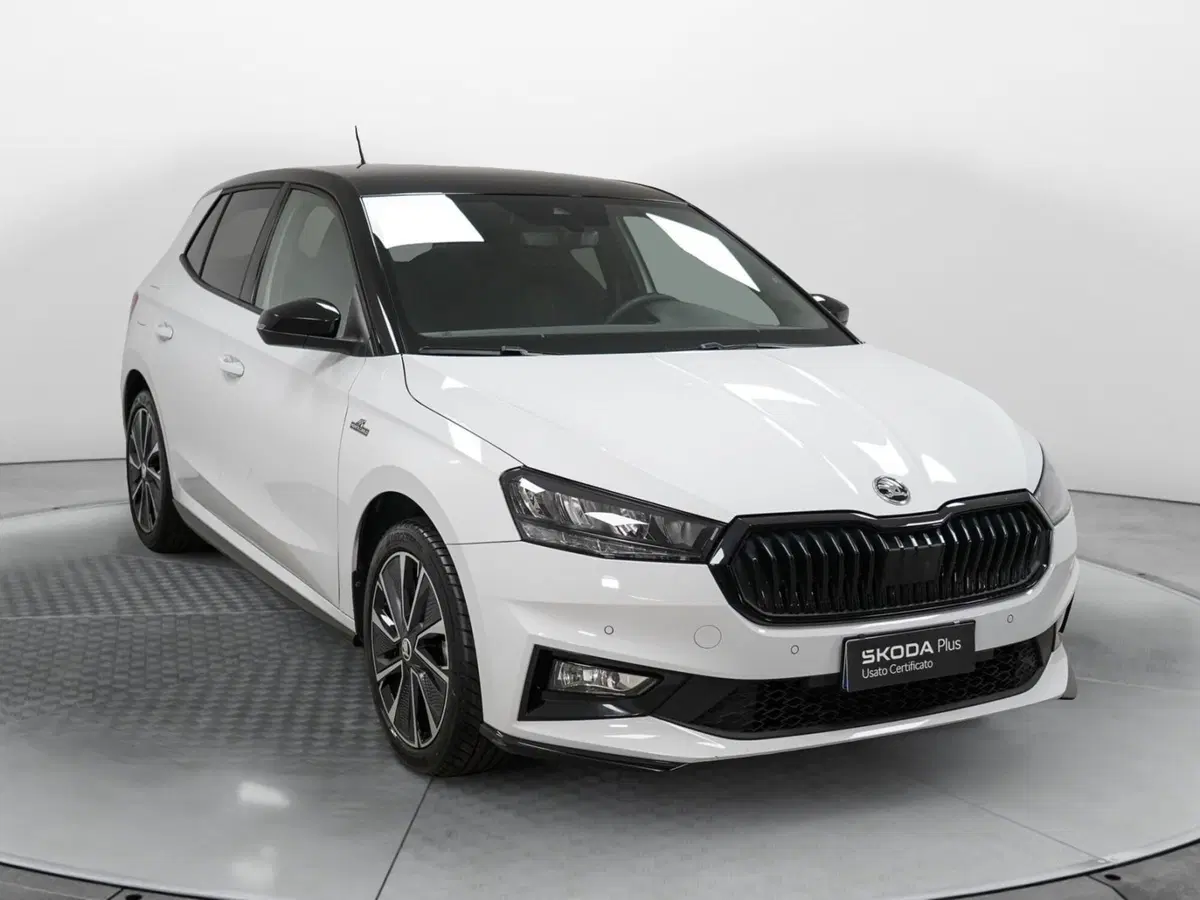 Skoda Fabia usata a Varese (3)