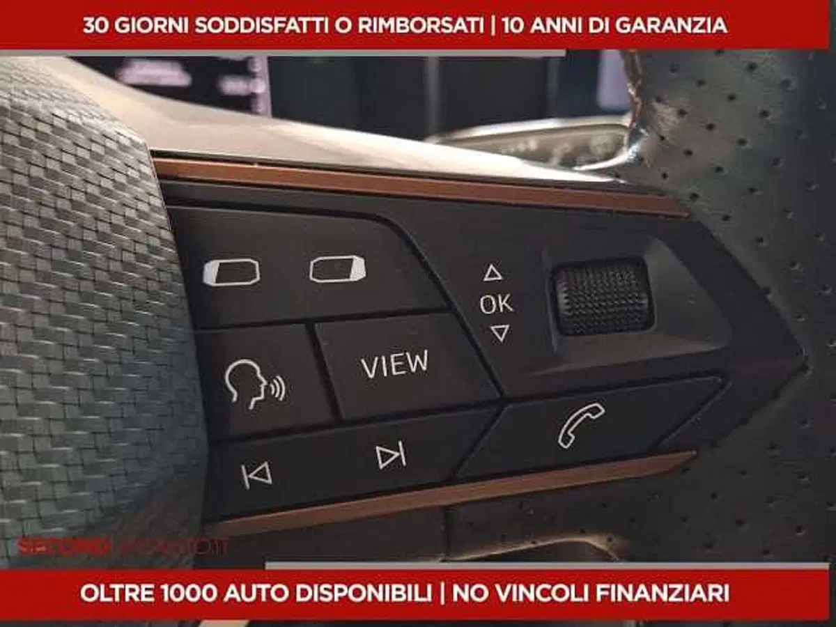 Cupra Formentor usata a Chieti (11)