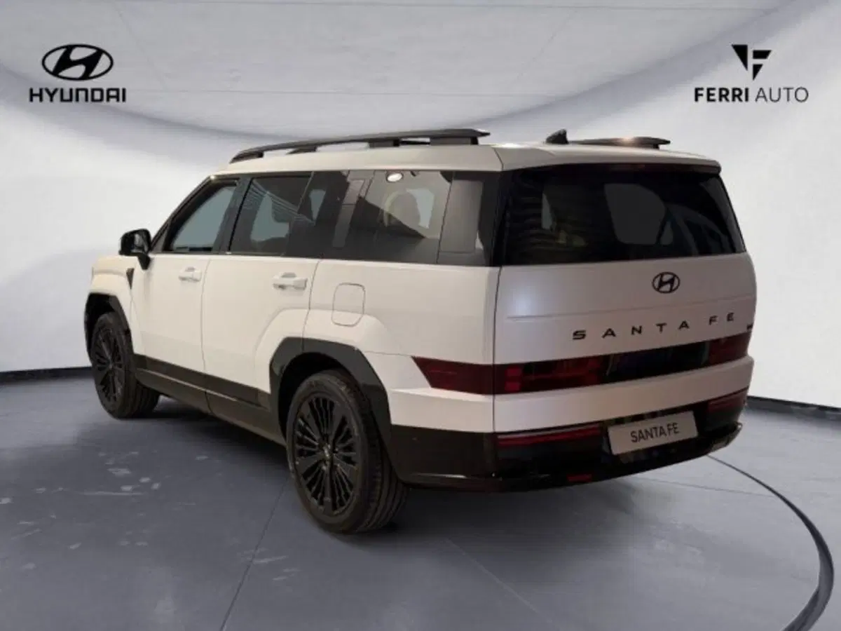 Hyundai Santa Fe nuova a Padova (7)