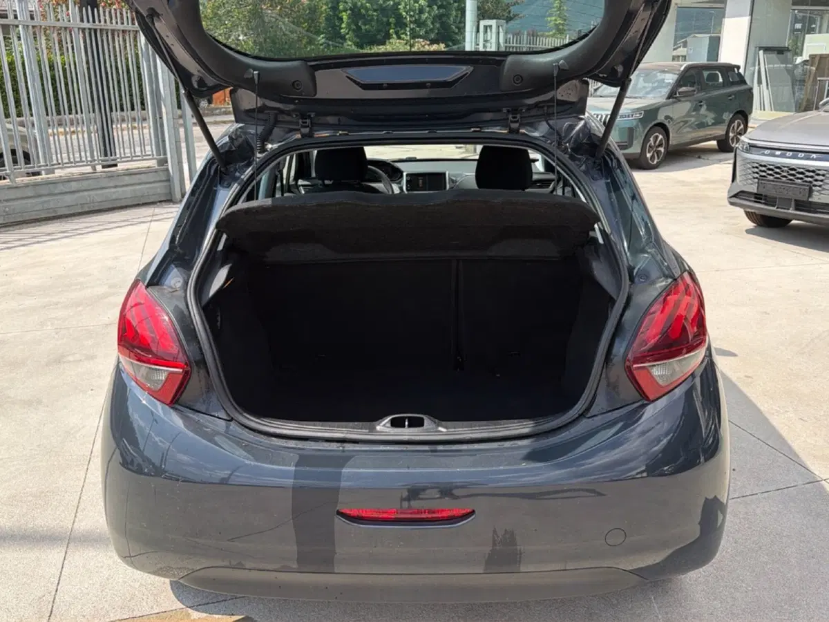 Peugeot 208 usata a Frosinone (13)