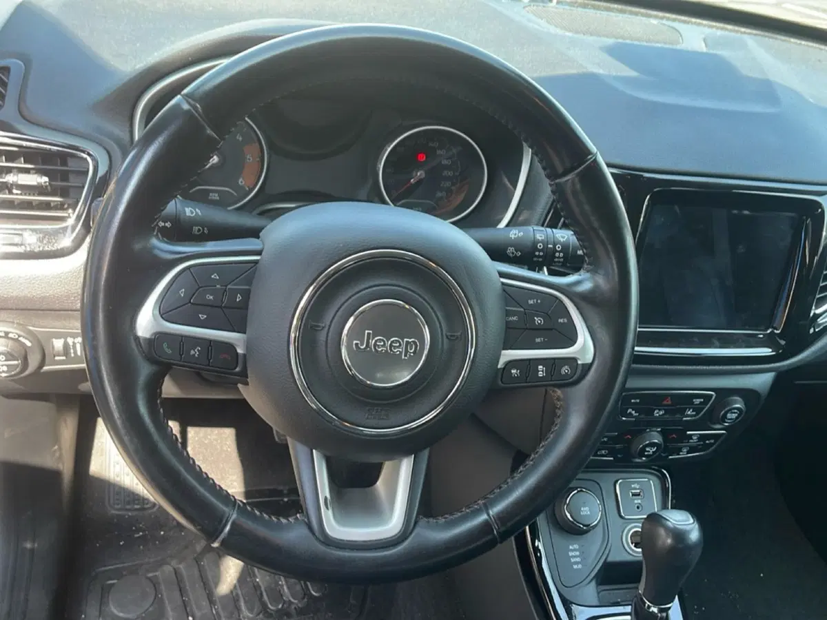Jeep Compass usata a Frosinone (14)