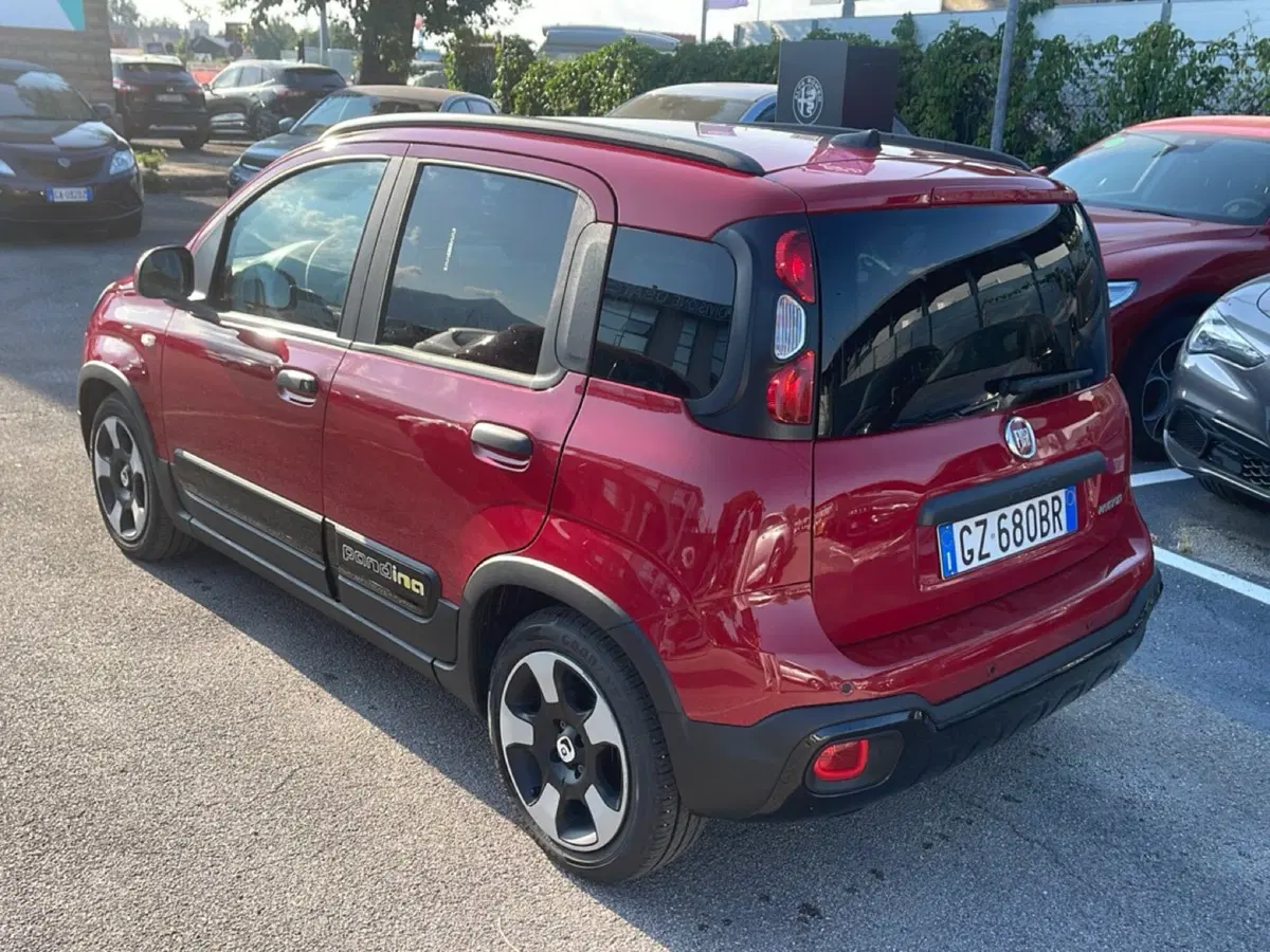 Fiat Pandina usata a Frosinone (2)