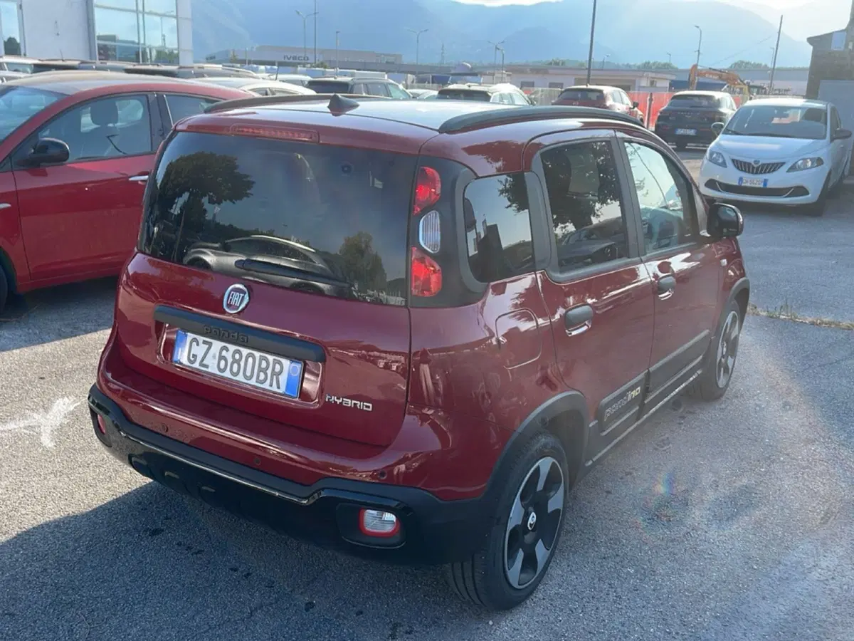 Fiat Pandina usata a Frosinone (4)