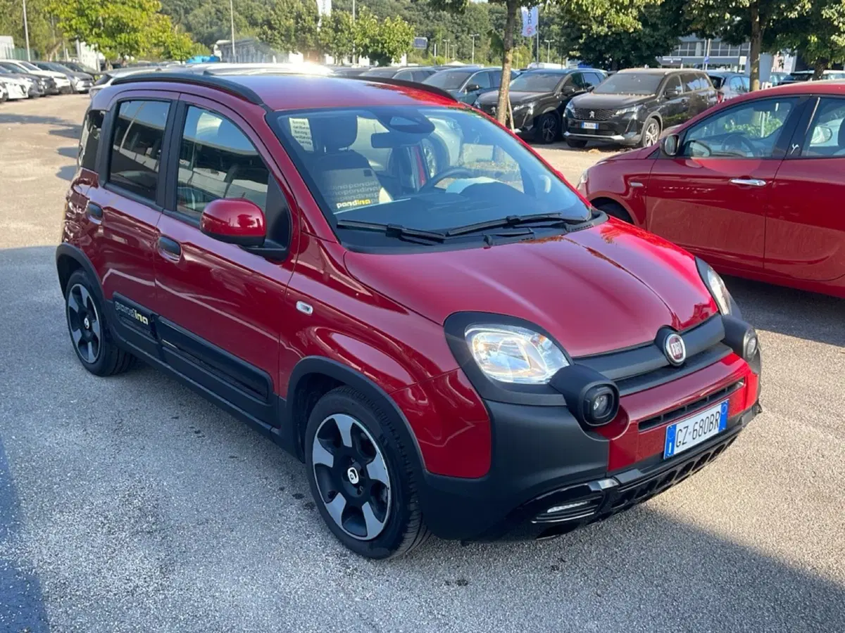 Fiat Pandina usata a Frosinone (5)
