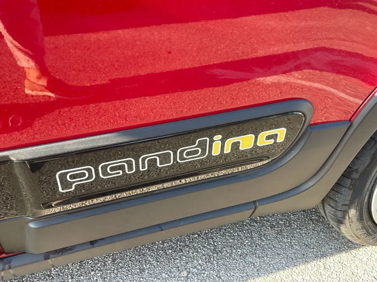 Fiat Pandina usata a Frosinone (7)