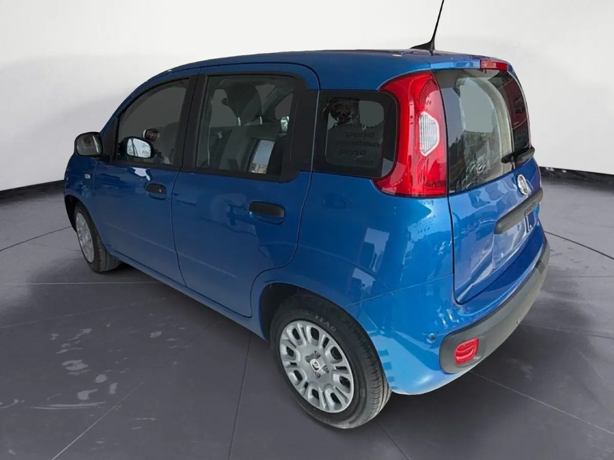 Fiat Pandina nuova a Palermo (11)