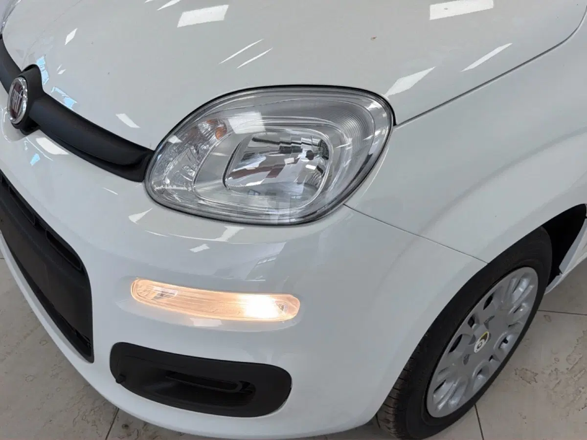 Fiat Pandina nuova a Palermo (4)