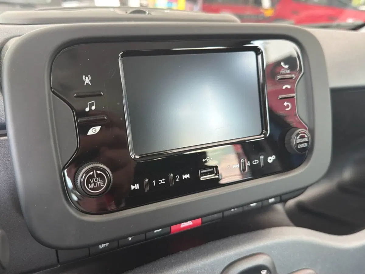 Fiat Pandina nuova a Palermo (8)