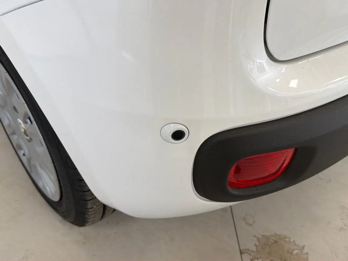 Fiat Pandina nuova a Palermo (18)