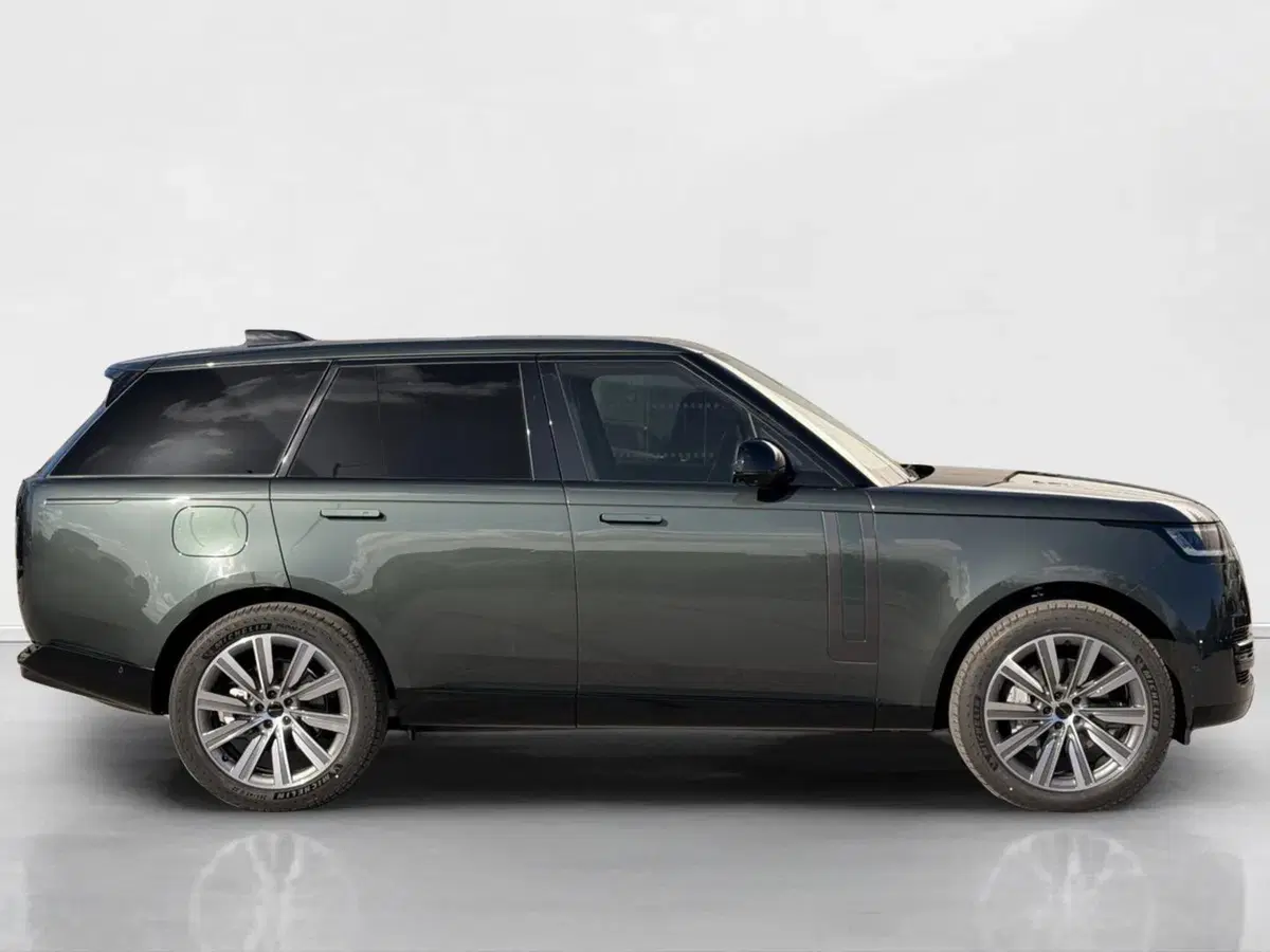 Land Rover Range Rover usata a Siena (6)