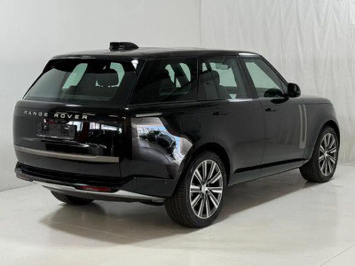 Land Rover Range Rover usata a Bolzano (2)