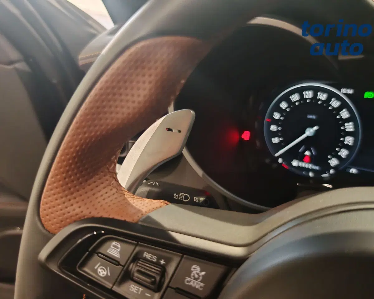 Alfa Romeo Stelvio usata a Torino (13)