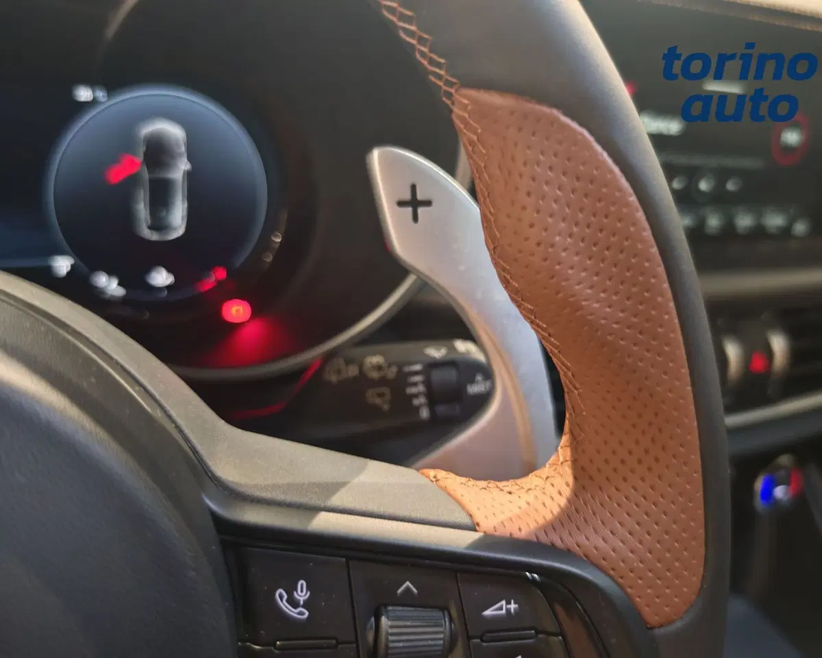 Alfa Romeo Stelvio usata a Torino (14)