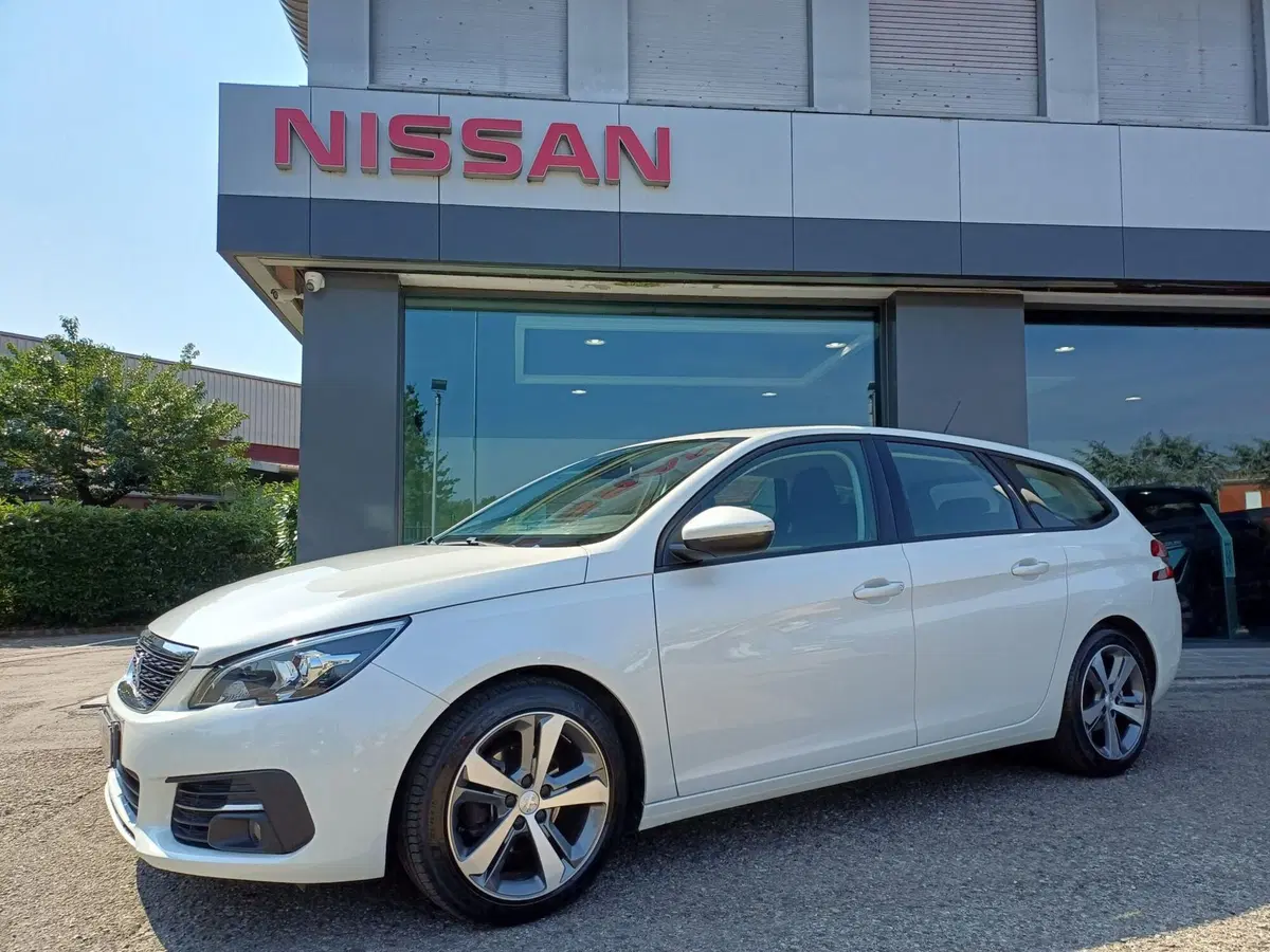 Peugeot 308 SW usata a Modena (19)